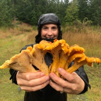 Learning to Forage: Wild mushrooms